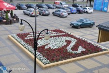 �ab�dzi Gr�d